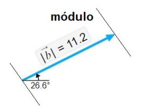 Representação do módulo de um vetor