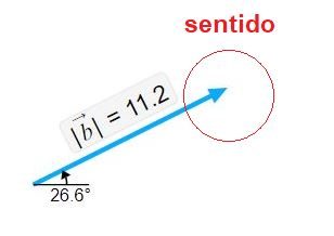 Sentido da flecha - representação do sentido